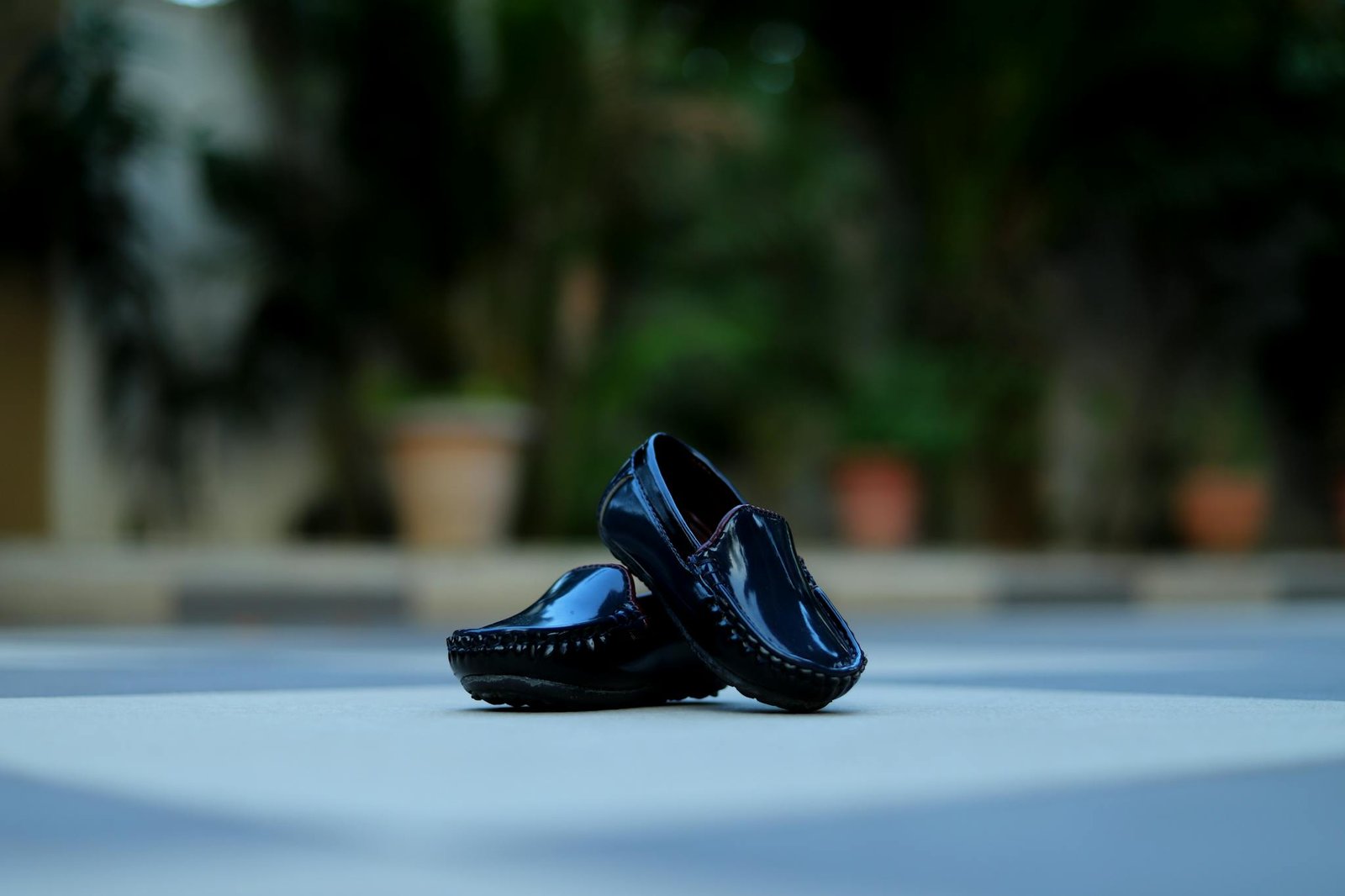 Black loafers pair stylishly displayed outdoors in a vibrant setting.